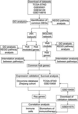 Identification of TYROBP and C1QB as Two Novel Key Genes With Prognostic Value in Gastric Cancer by Network Analysis